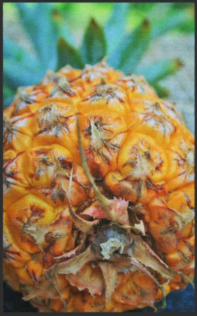 Sauberlaufmatte Ananas 7591