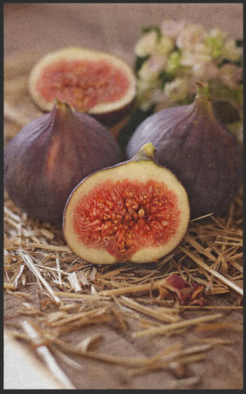 Sauberlaufmatte Feige 7590