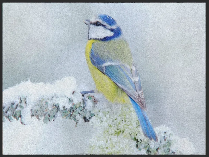 Fussmatte Vogel 5014