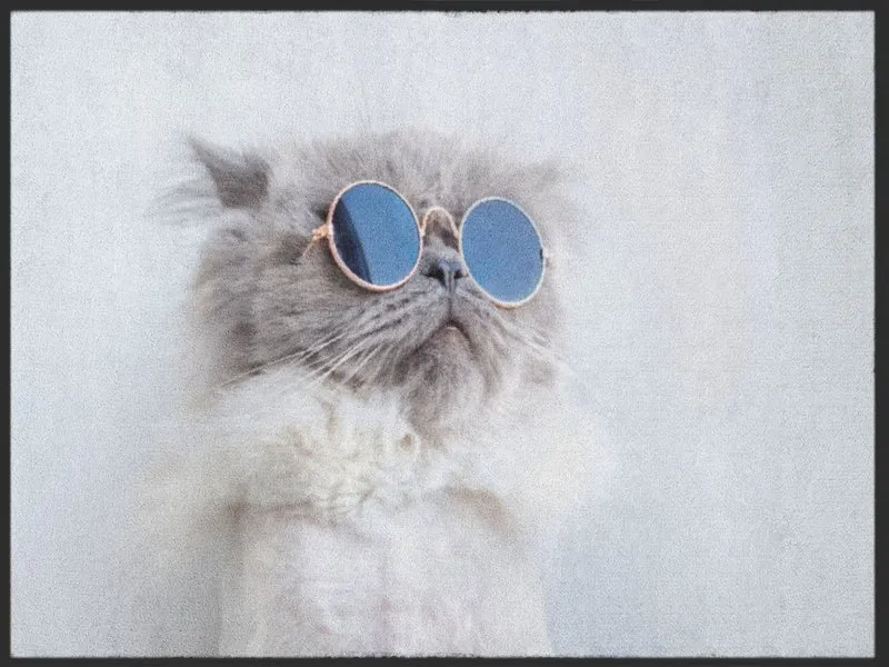 Fussmatte Katze 5001