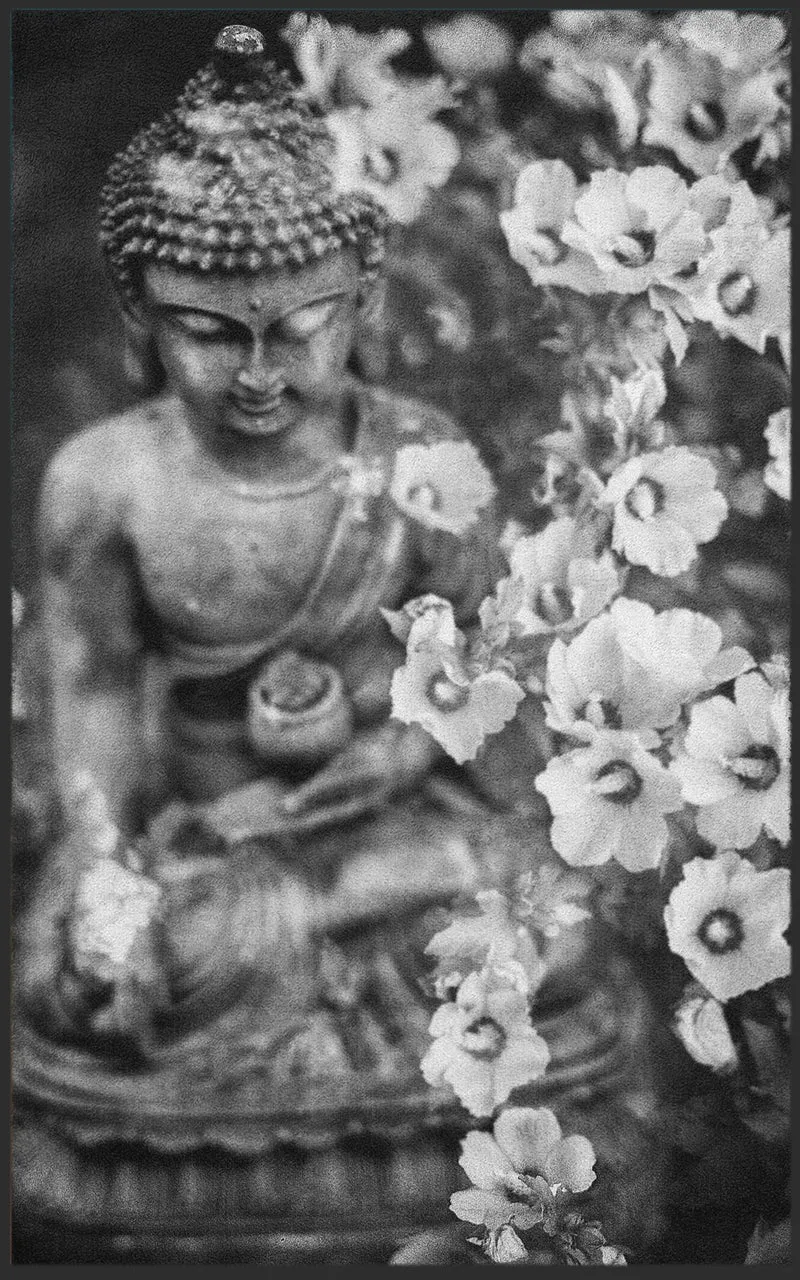 Sauberlaufmatte Buddha 7584