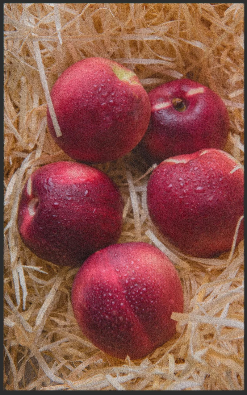 Sauberlaufmatte Apfel 7577