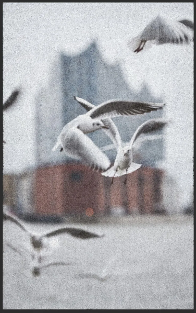 Sauberlaufmatte Hamburg 7555