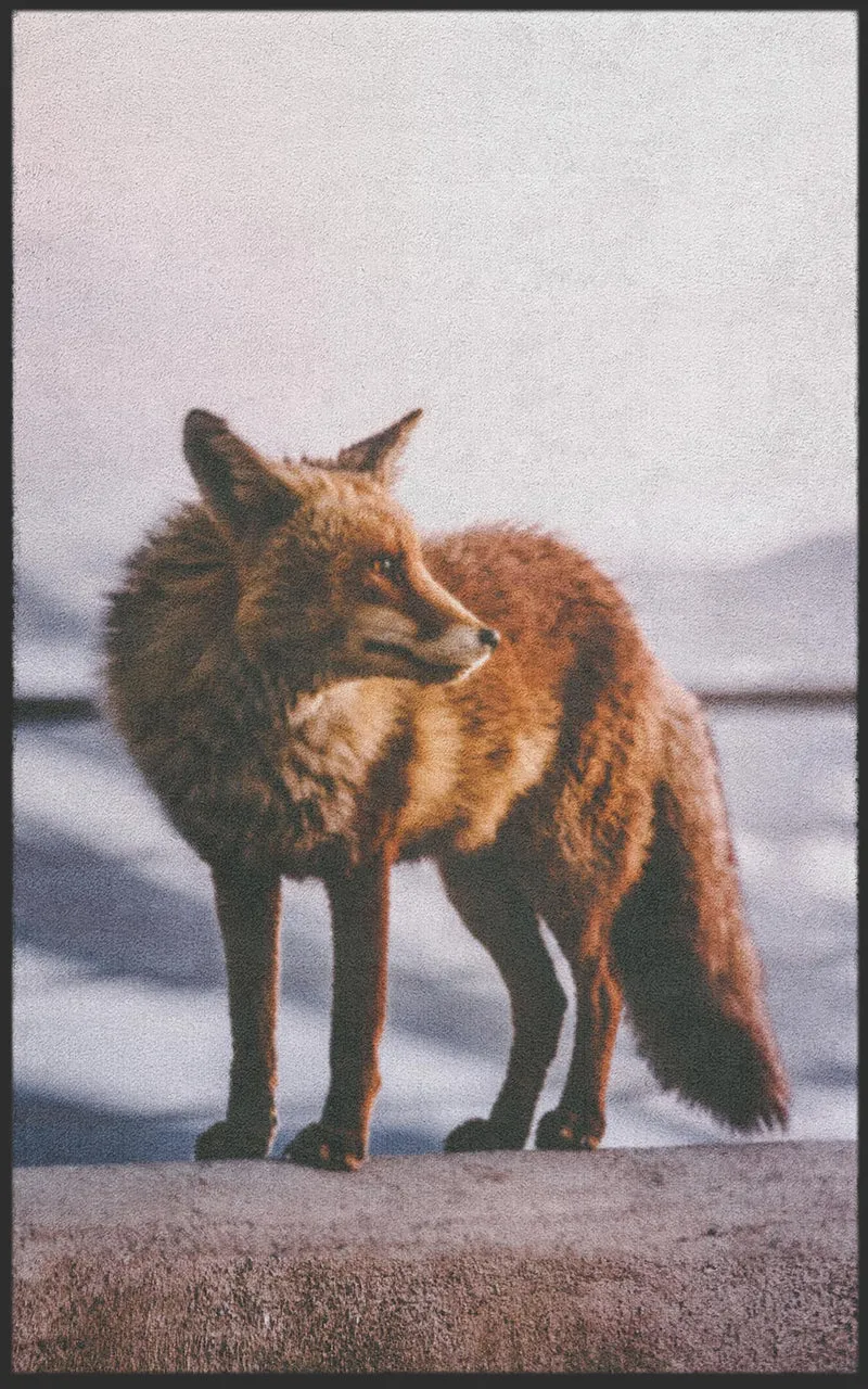 Sauberlaufmatte Fuchs 7553
