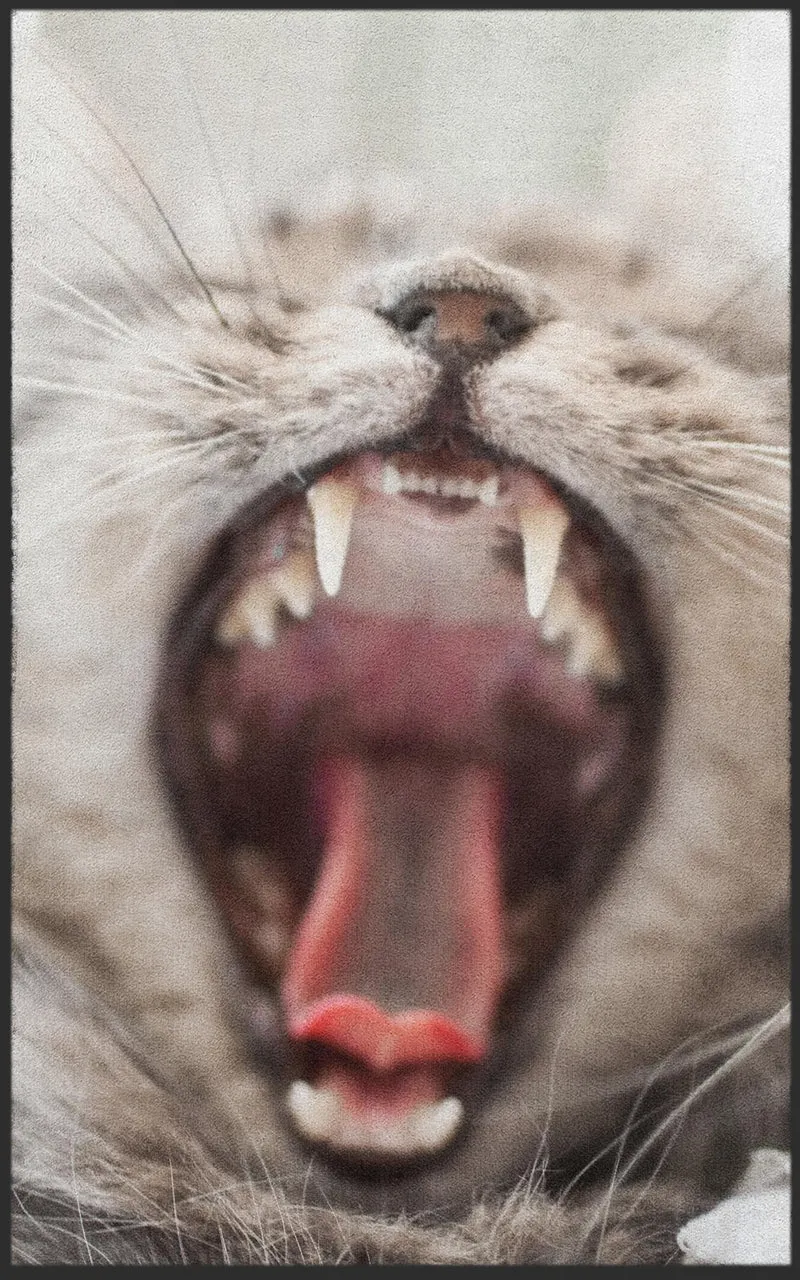 Sauberlaufmatte Katze 7309
