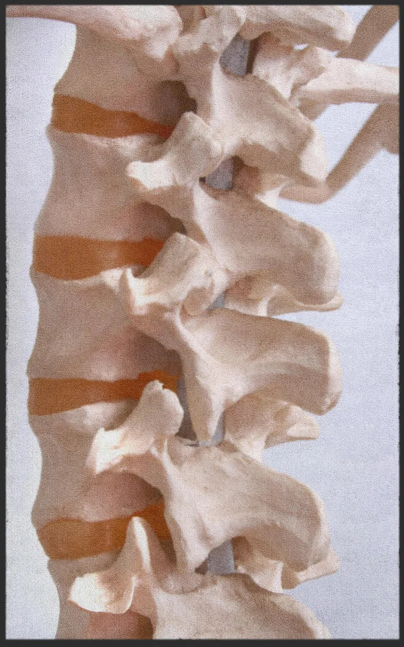 Sauberlaufmatte Orthopäde 7308