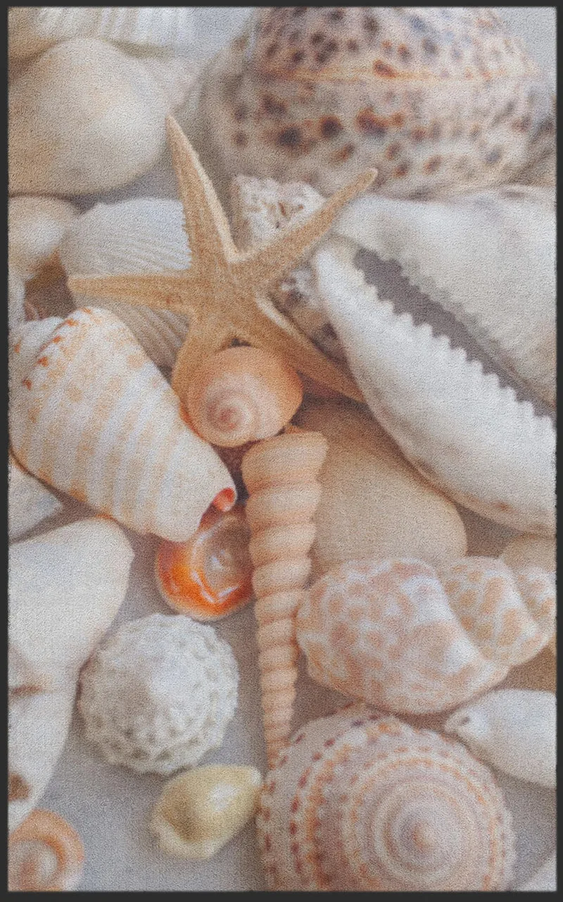 Sauberlaufmatte Muscheln 7305