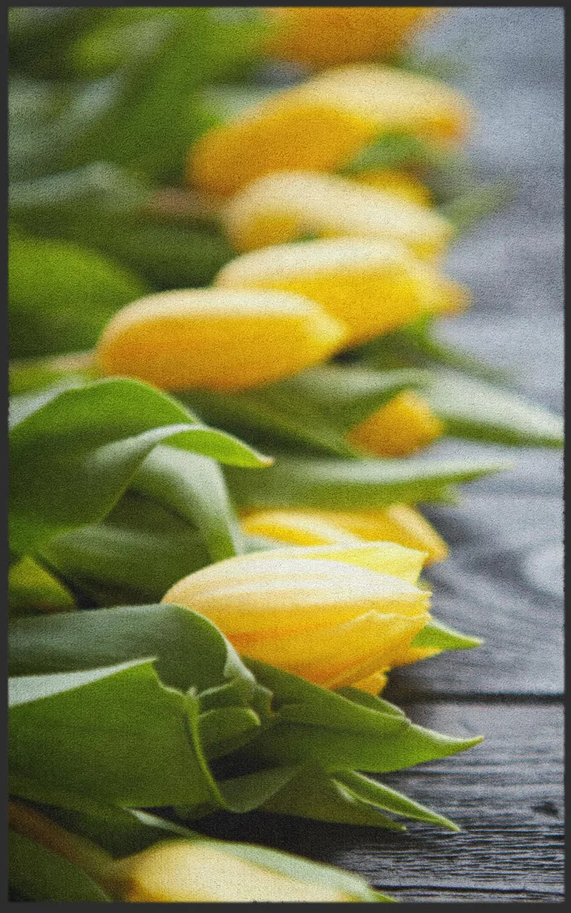 Sauberlaufmatte Tulpen 7291