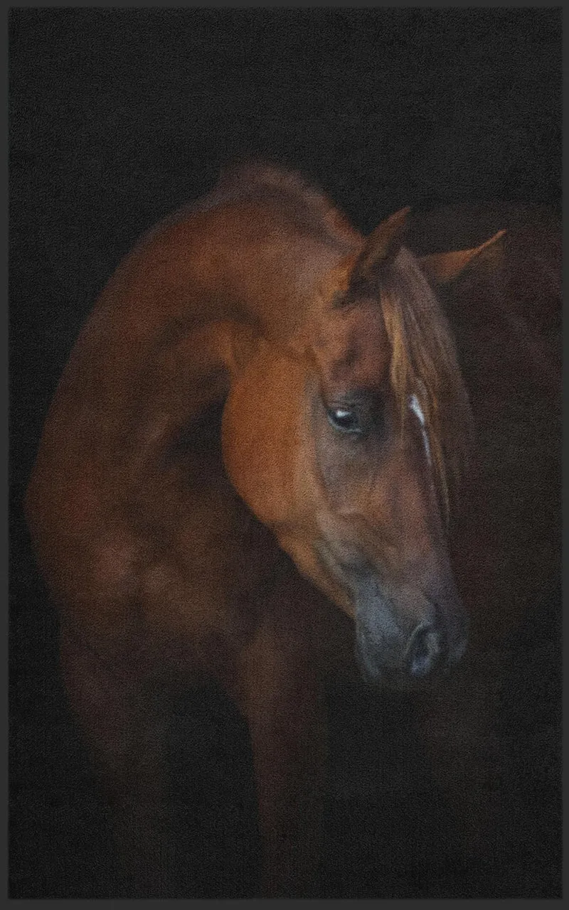 Sauberlaufmatte Pferd 7288