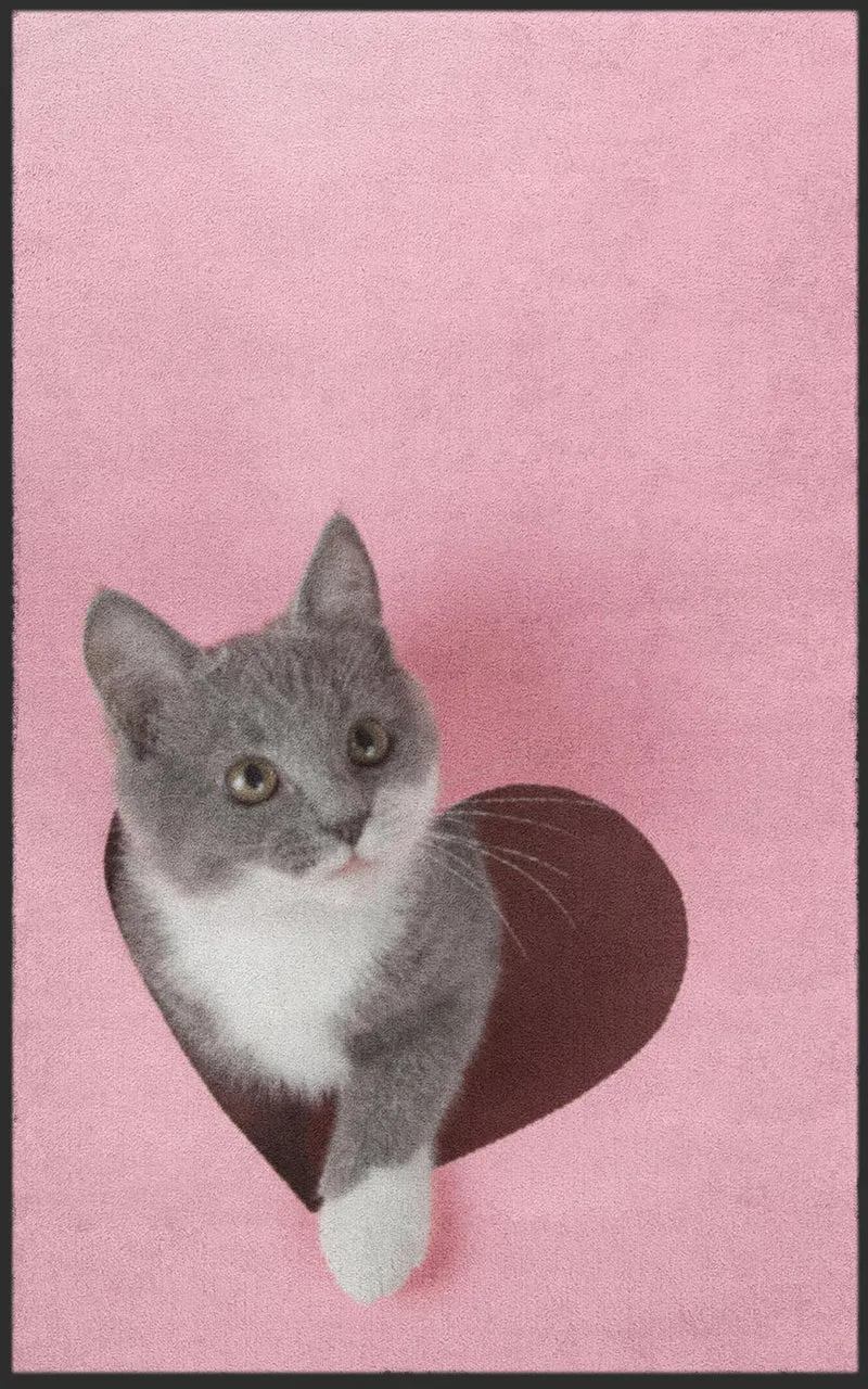 Sauberlaufmatte Katze 7282