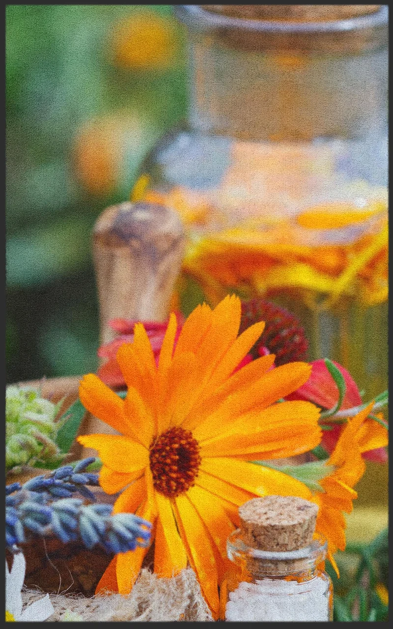 Sauberlaufmatte 7269
