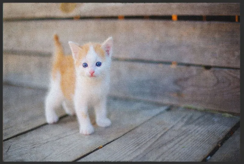 Fussmatte Katze 4818