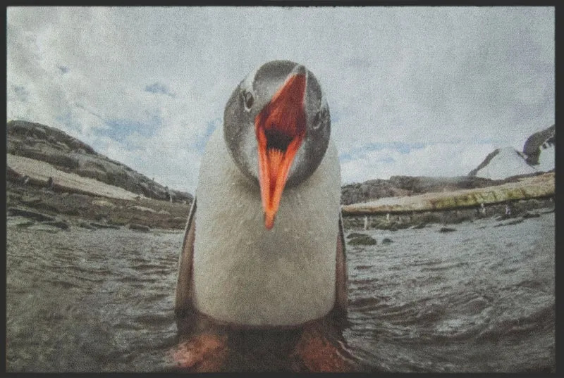 Fussmatte Pinguin 4810