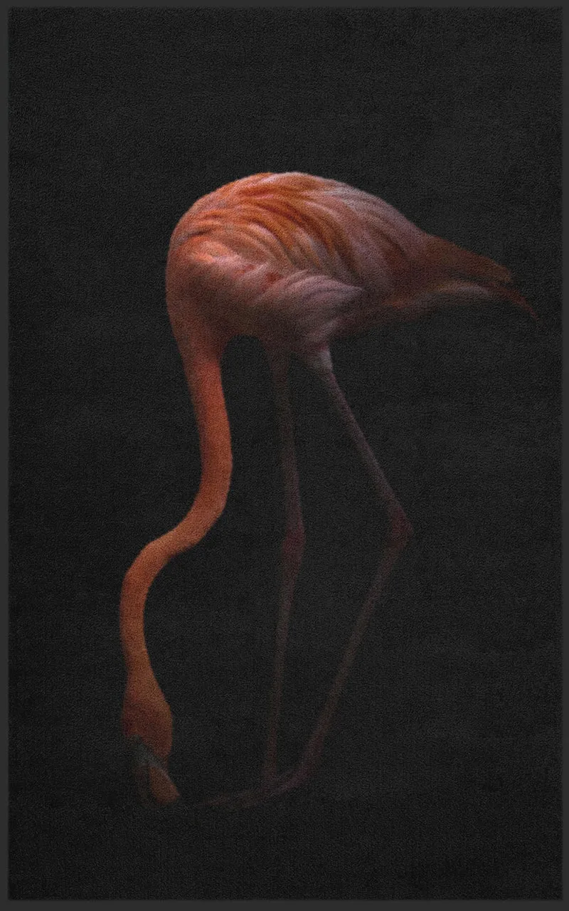 Sauberlaufmatte Flamingo 7260