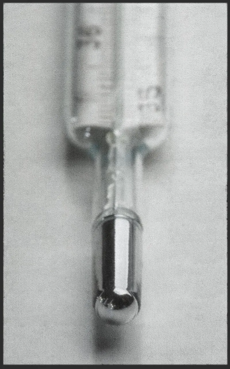 Sauberlaufmatte 7343