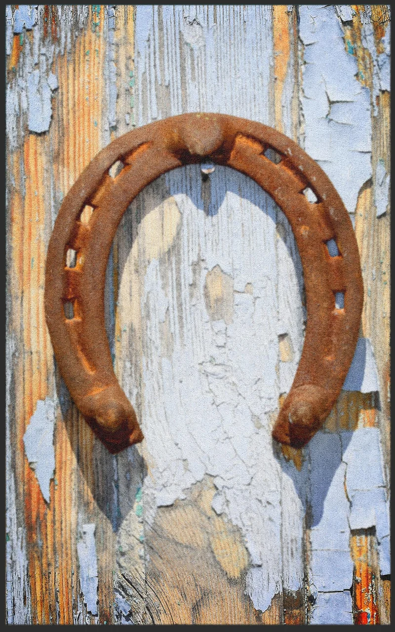 Sauberlaufmatte Hufeisen 7154