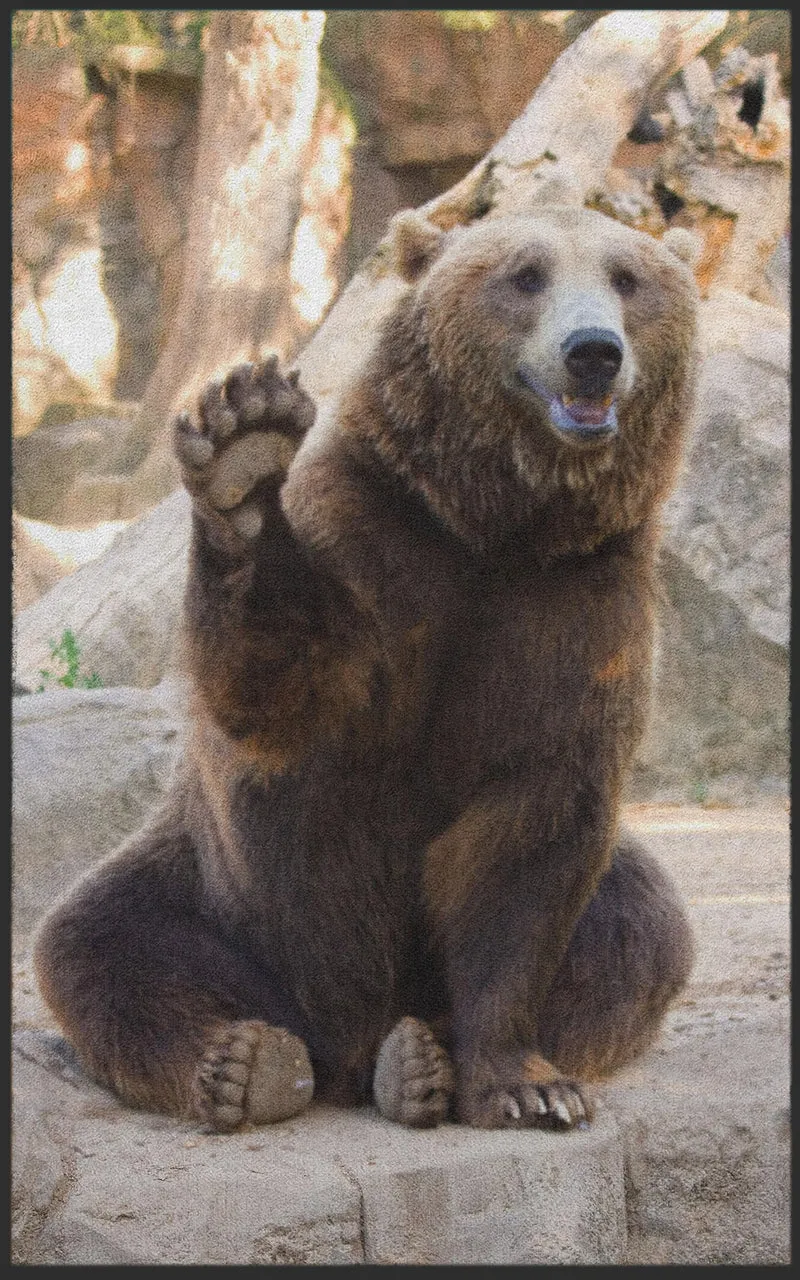 Sauberlaufmatte Braunbär 7141