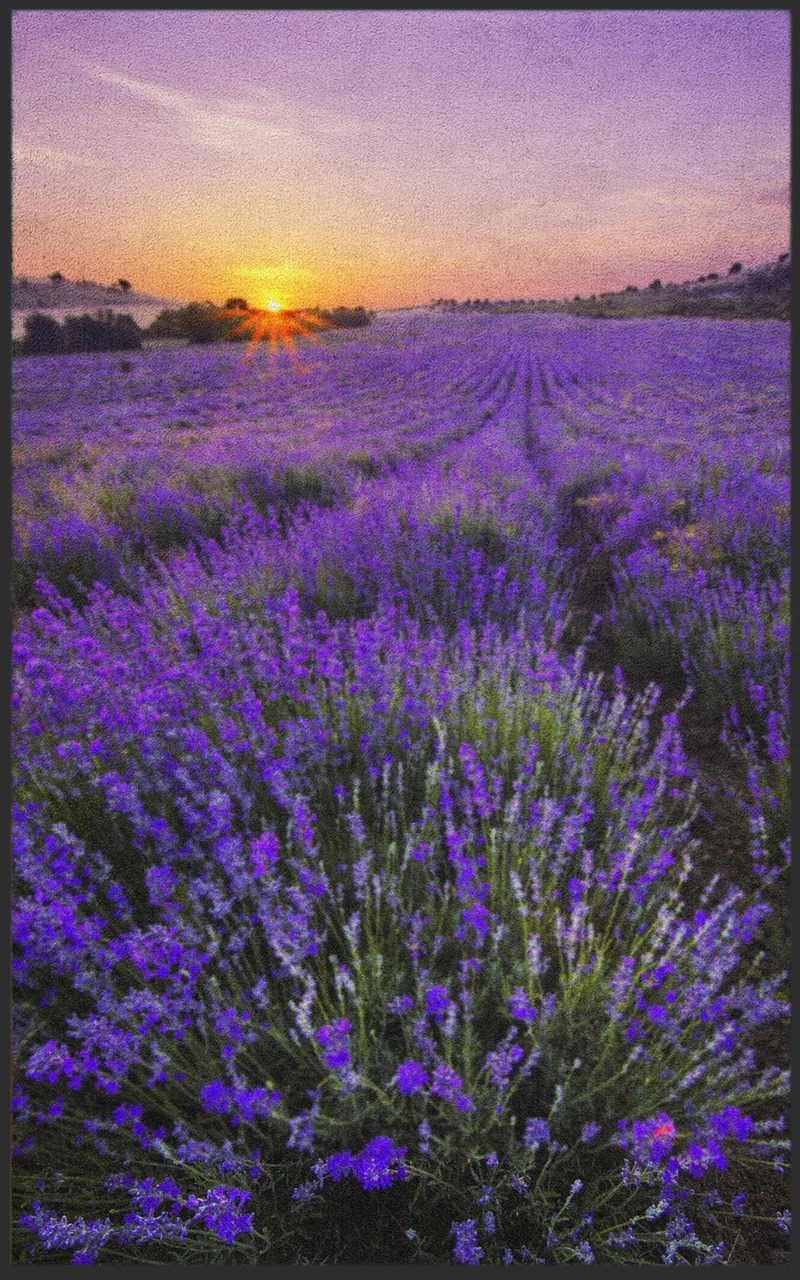 Sauberlaufmatte Lavendel 7139