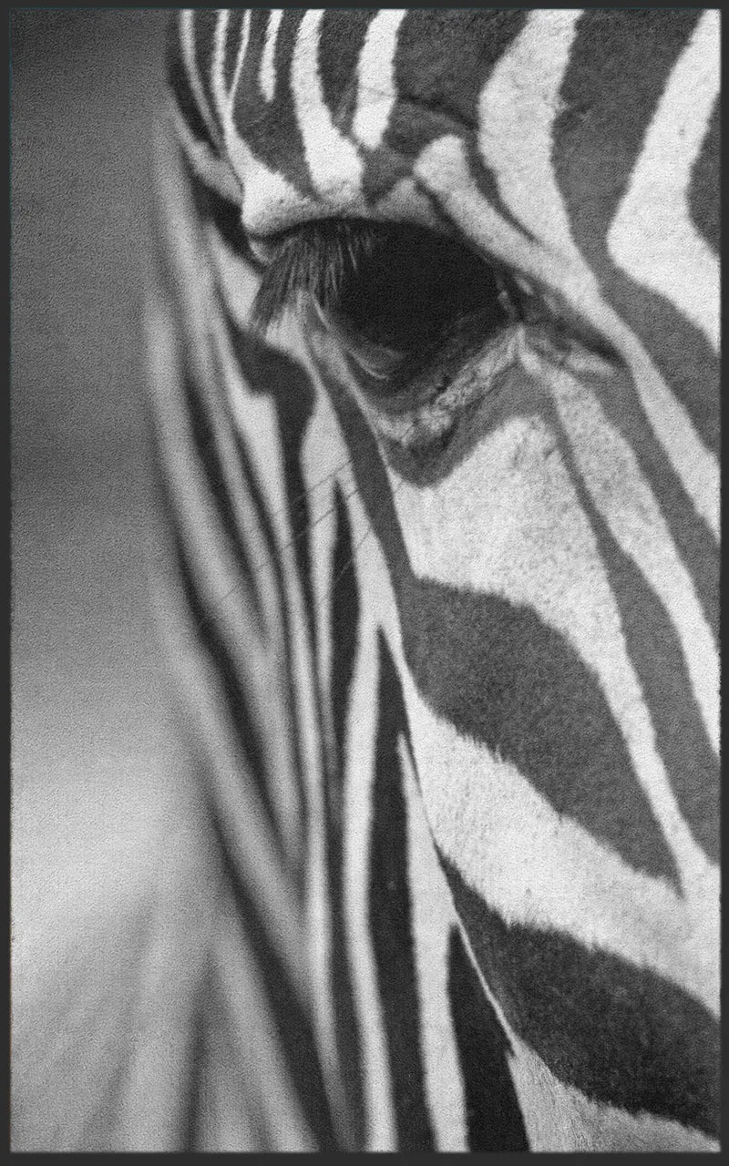 Sauberlaufmatte Zebra 7138