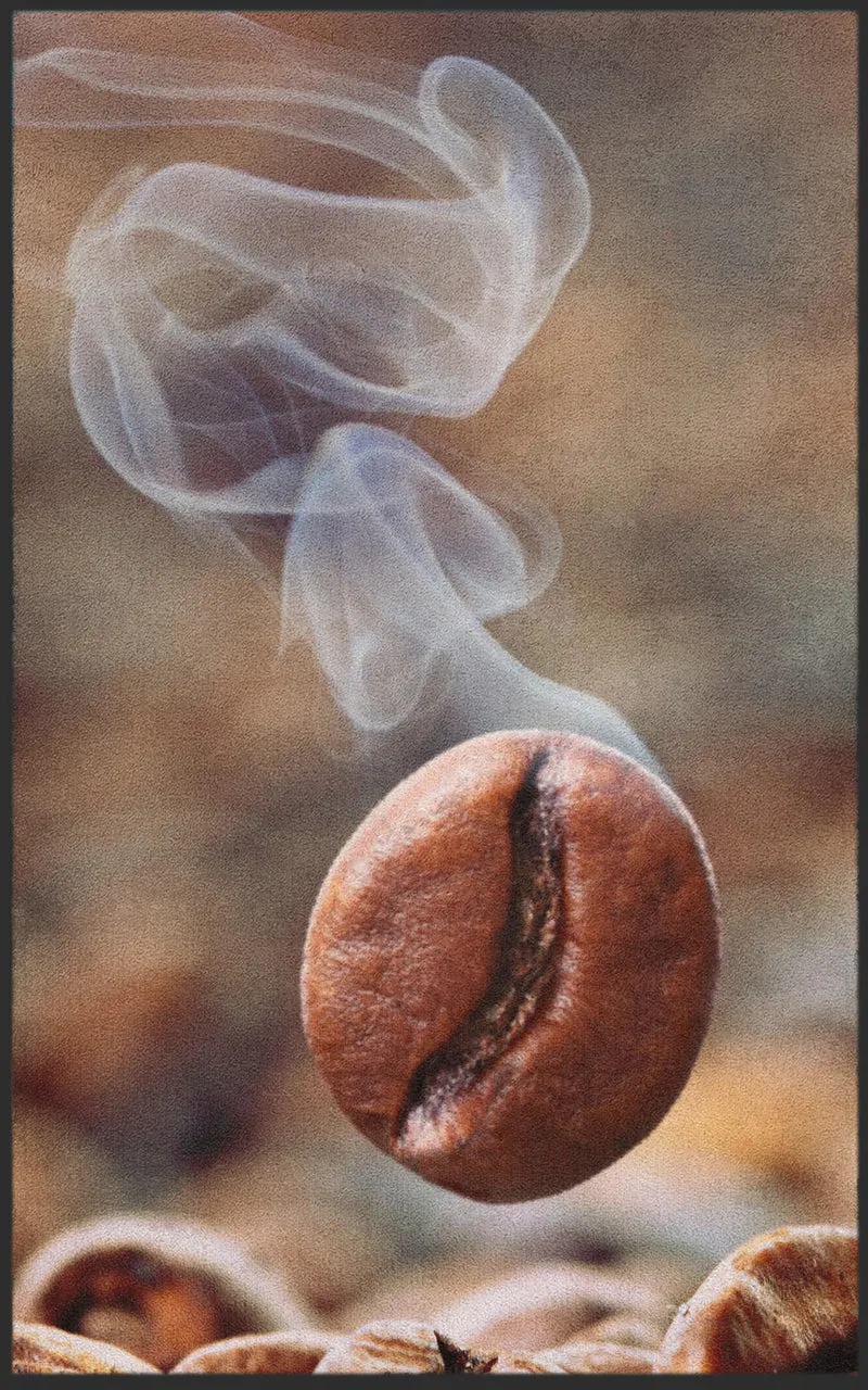 Sauberlaufmatte Kaffeebohne 7136