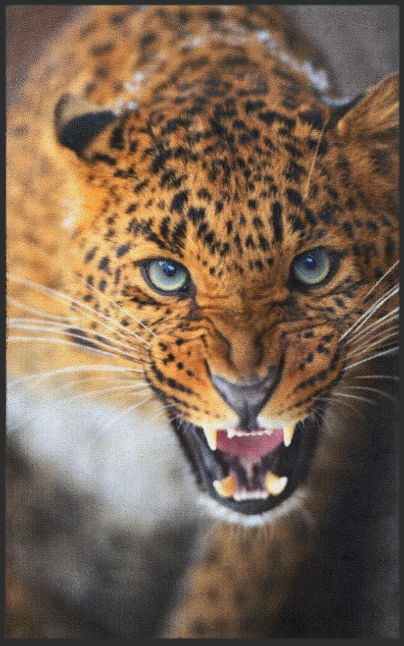 Sauberlaufmatte Leopard 7133
