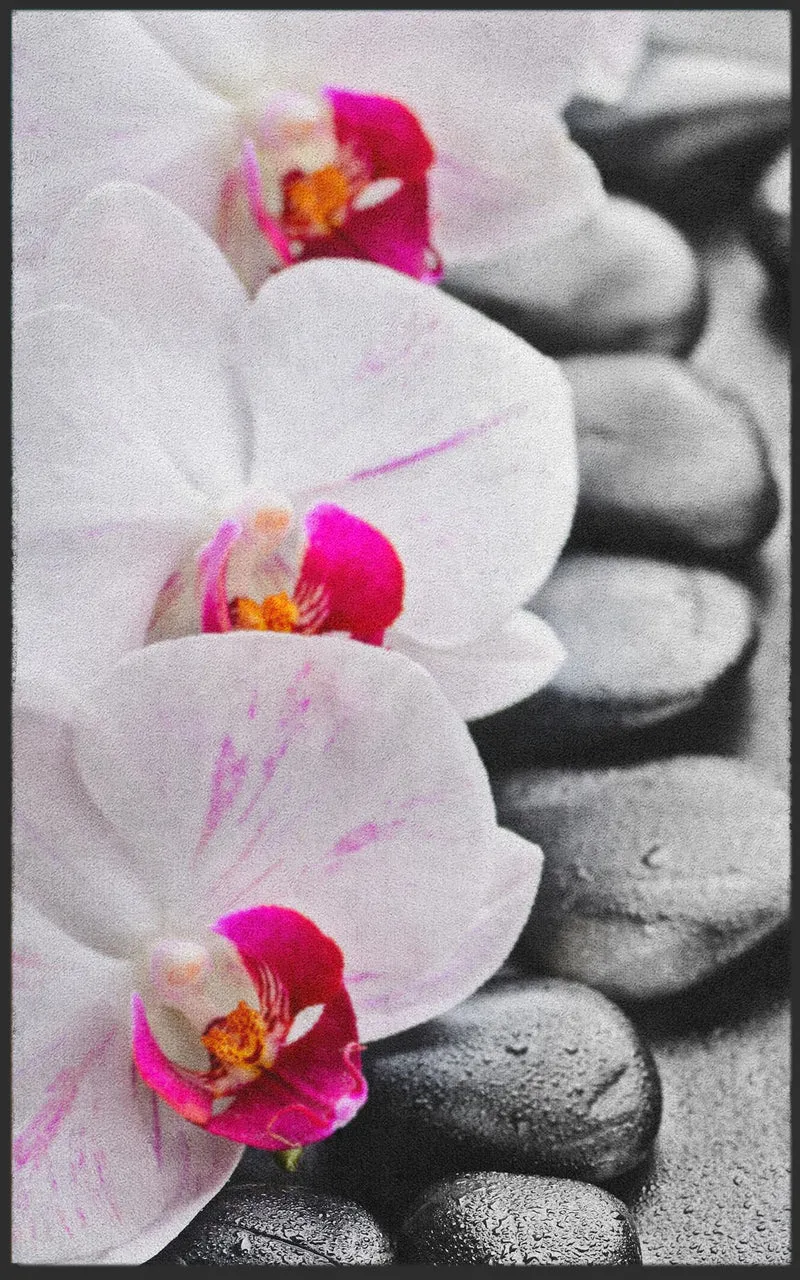 Sauberlaufmatte Orchidee 7120