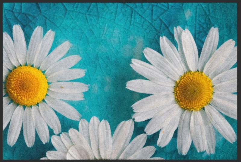 Fussmatte Gänseblümchen 4604