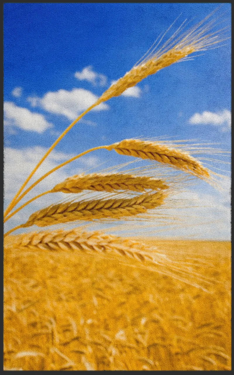 Sauberlaufmatte Korn 7106