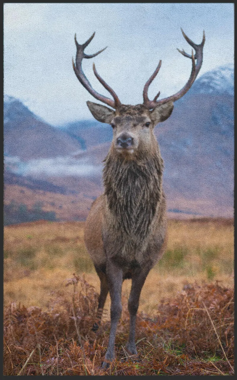 Sauberlaufmatte Hirsch 7096