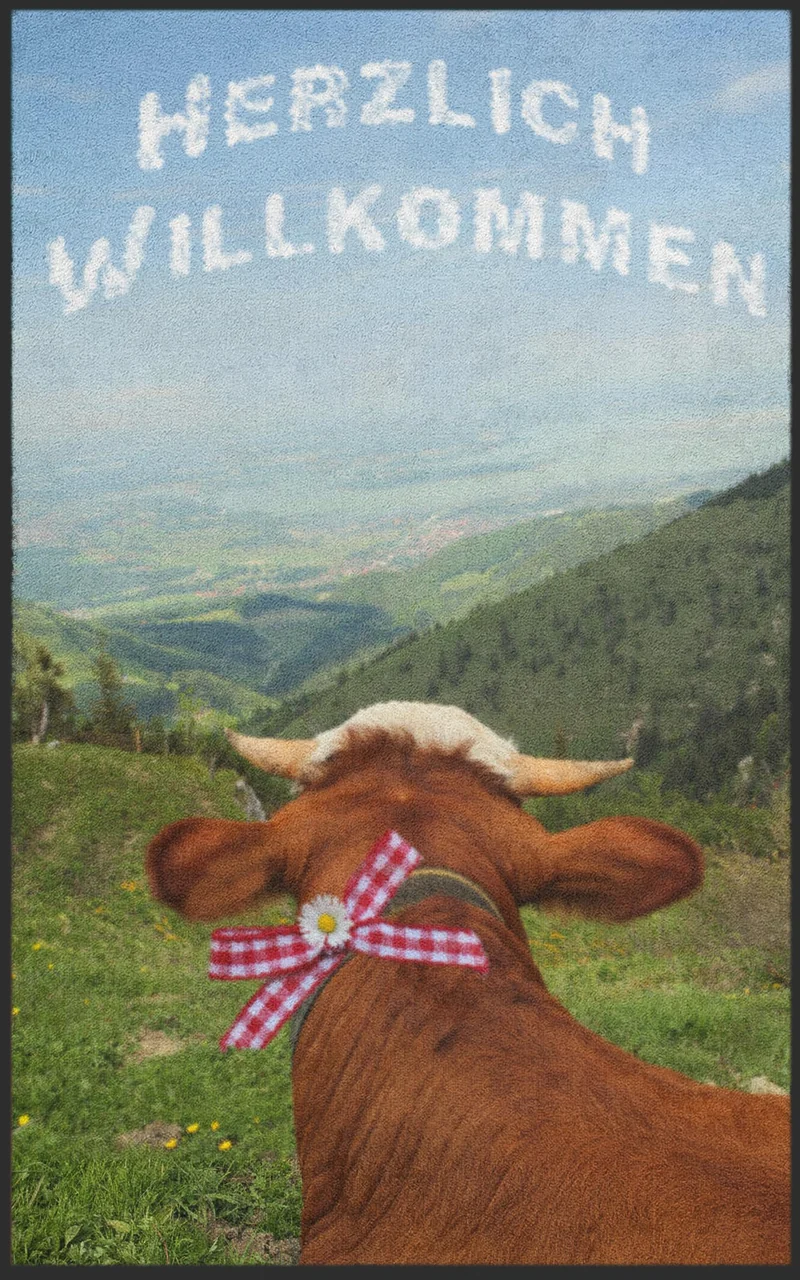 Sauberlaufmatte 7000
