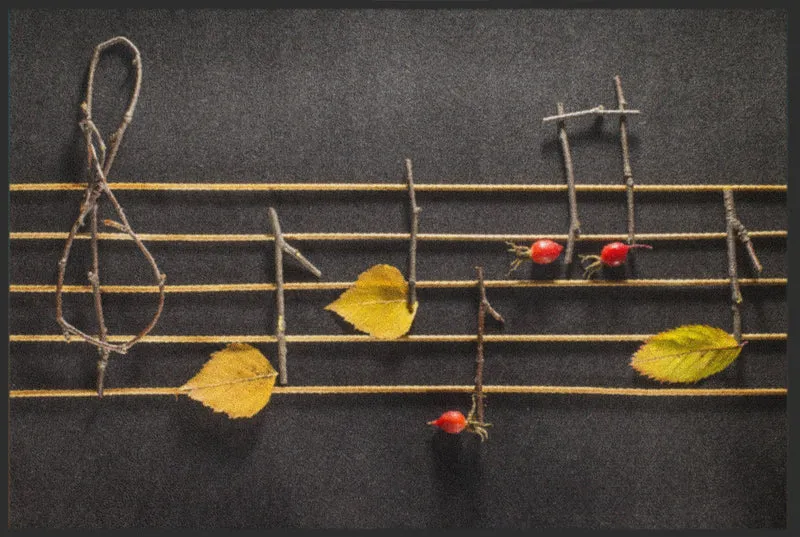Sauberlaufmatte Musik 6333