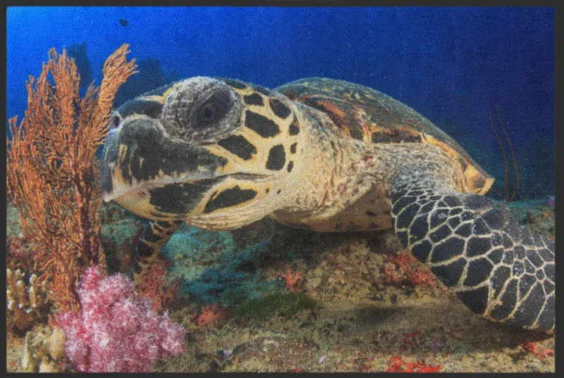 Sauberlaufmatte Schildkröte 6325