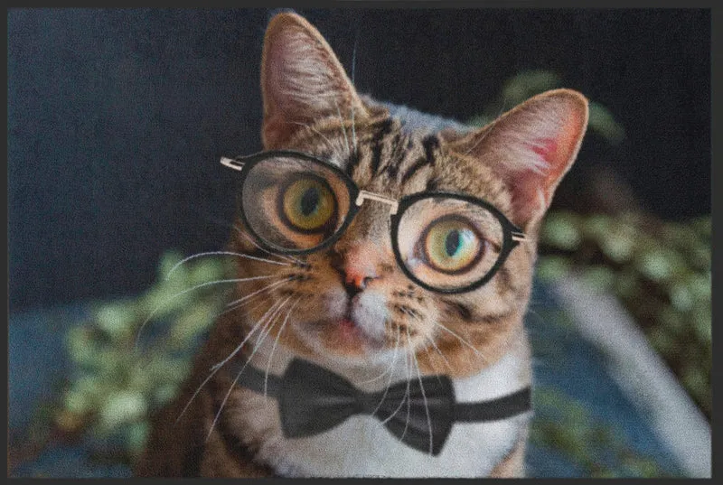 Sauberlaufmatte Katze 6307