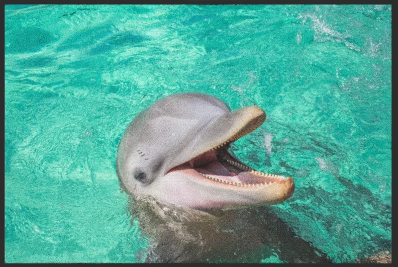 Sauberlaufmatte Delfin 6297