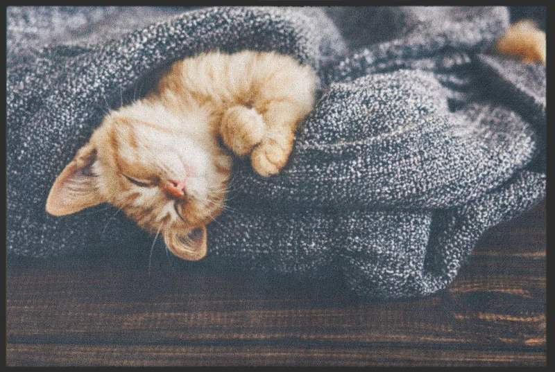 Sauberlaufmatte Katze 6266
