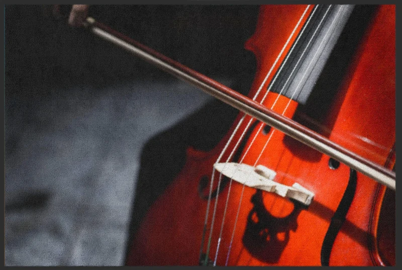 Sauberlaufmatte Cello 6263