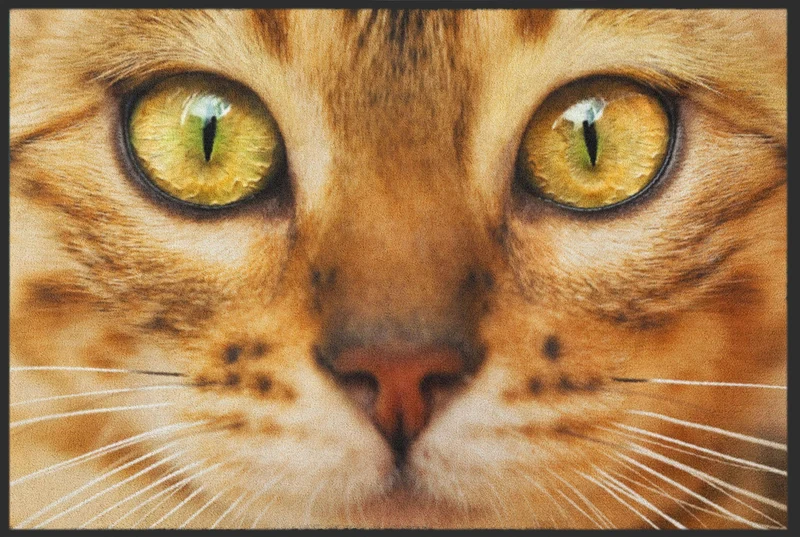 Sauberlaufmatte Katze 6259