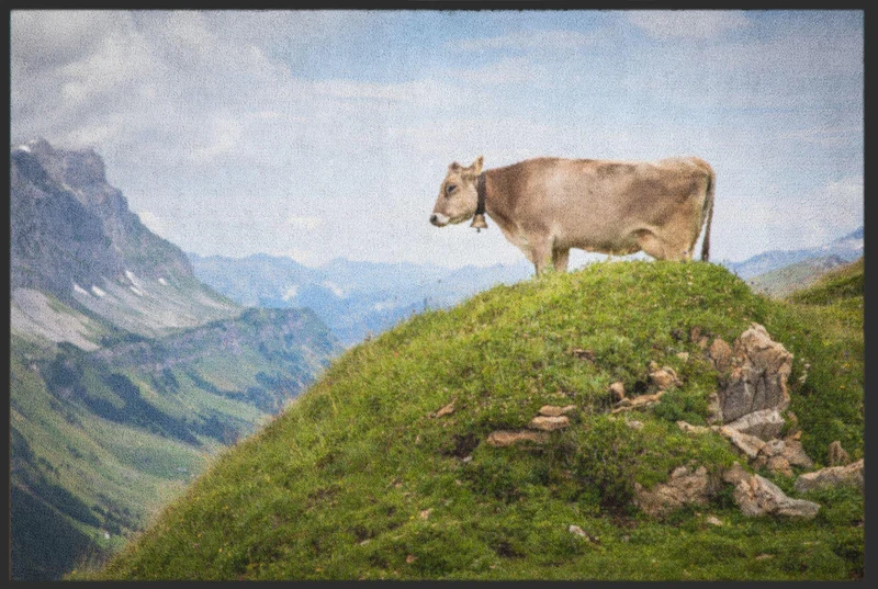 Sauberlaufmatte 6257