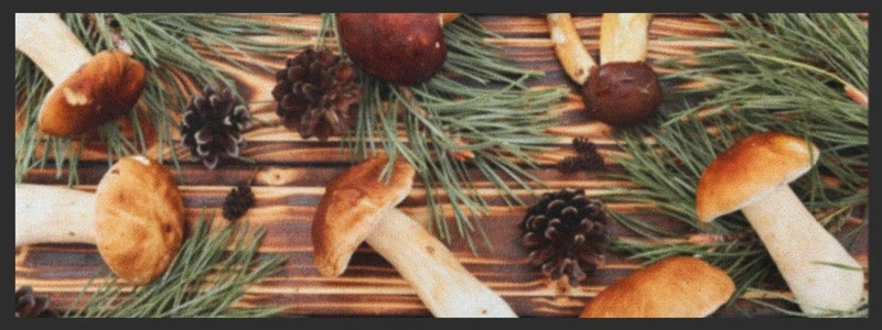 Küchenteppich Pilz 4365