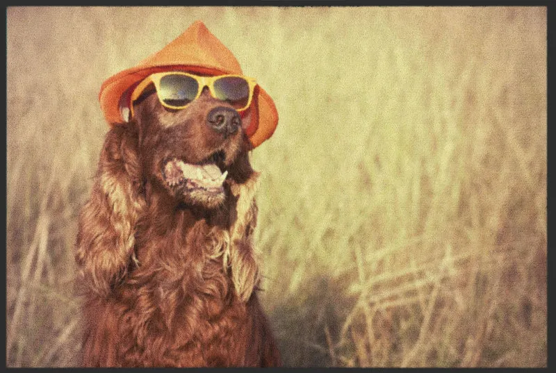 Sauberlaufmatte Hund 6079