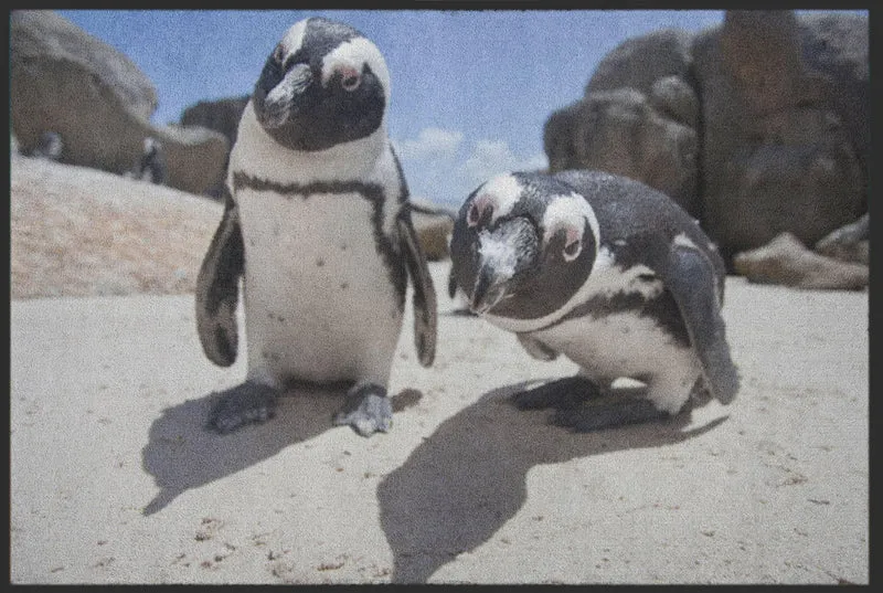 Sauberlaufmatte Pinguin 6071