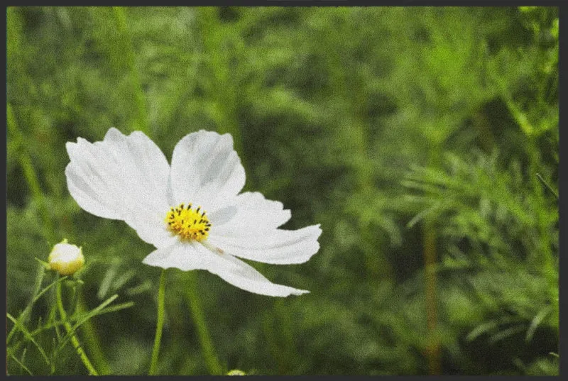 Sauberlaufmatte 6069