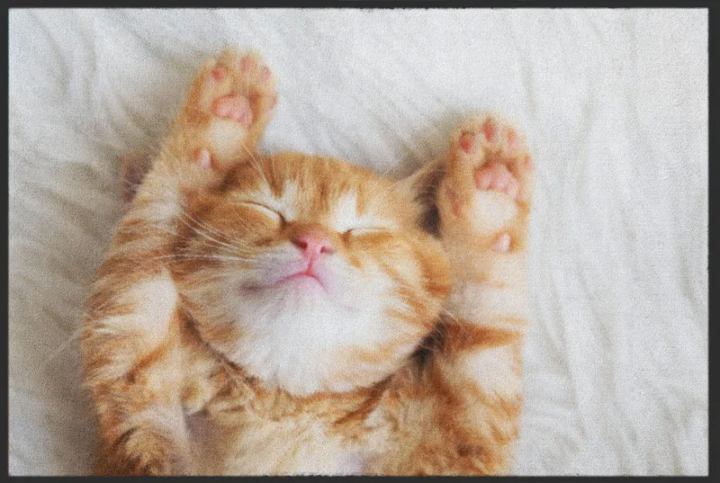 Sauberlaufmatte Katze 6068