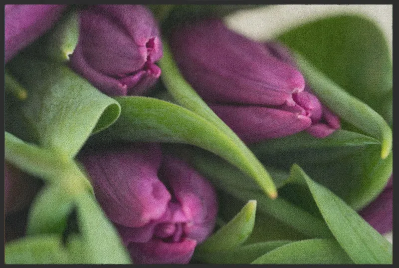 Sauberlaufmatte Tulpe 5076