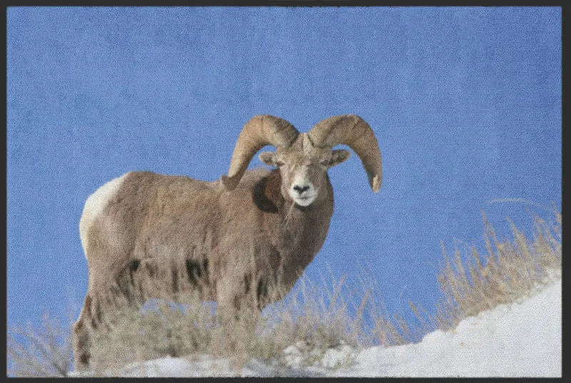 Sauberlaufmatte Gaisbock 6208