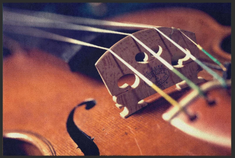 Sauberlaufmatte Violine 6134