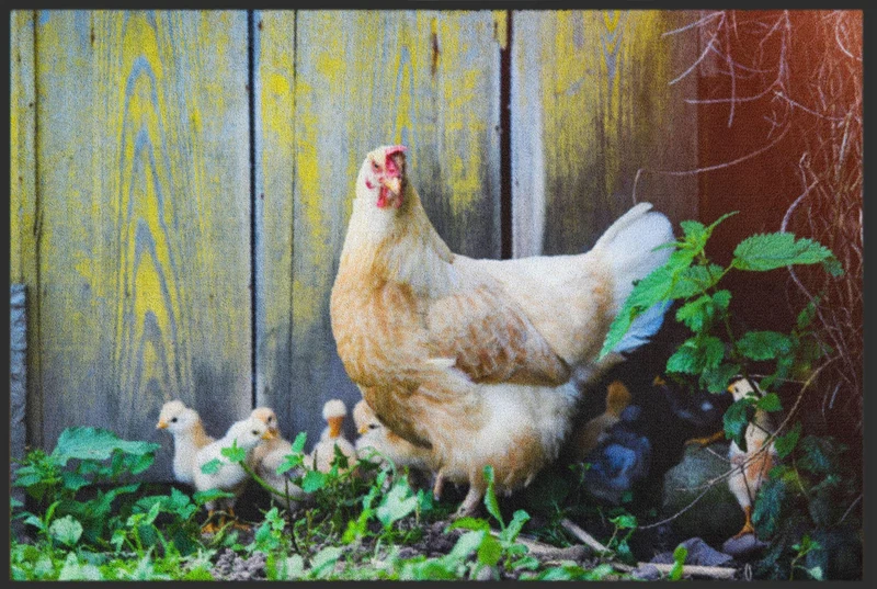 Sauberlaufmatte Huhn 6113