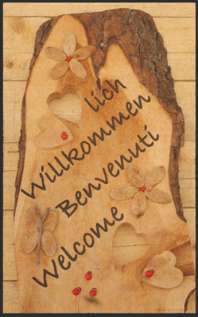 Sauberlaufmatte 7046
