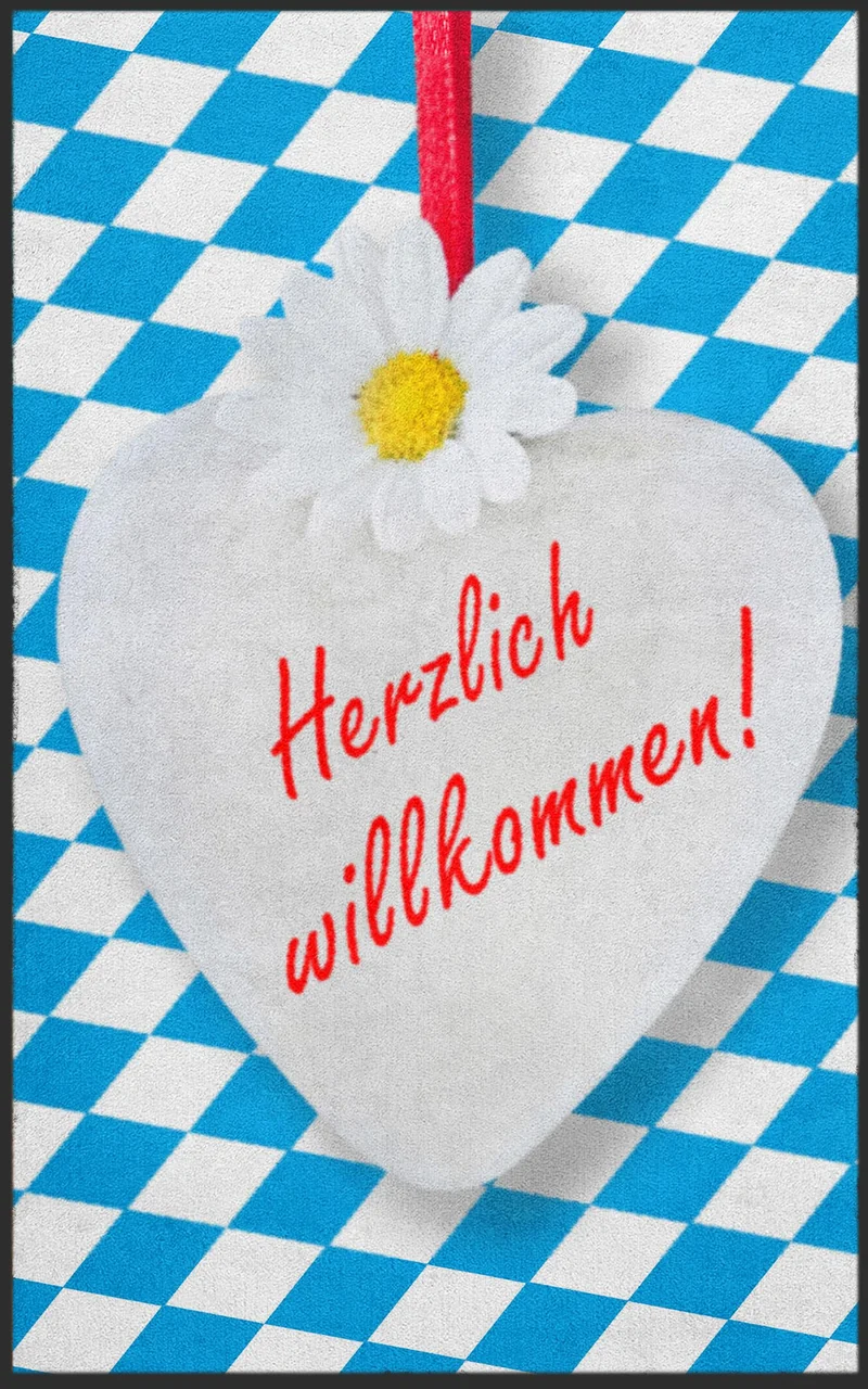 Sauberlaufmatte 7043