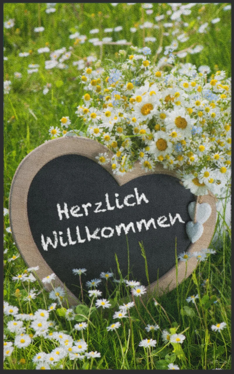 Sauberlaufmatte 7030